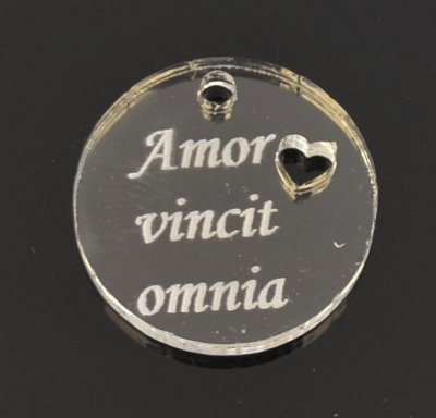 Mynt 20 mm plexiglas ”Amor vincit omnia” klar 1 st